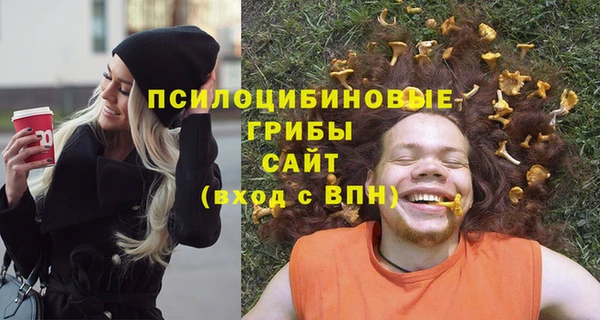 метадон Осташков